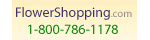 FlowerShopping.com brand image