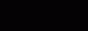 Repeatcashmere.com brand image
